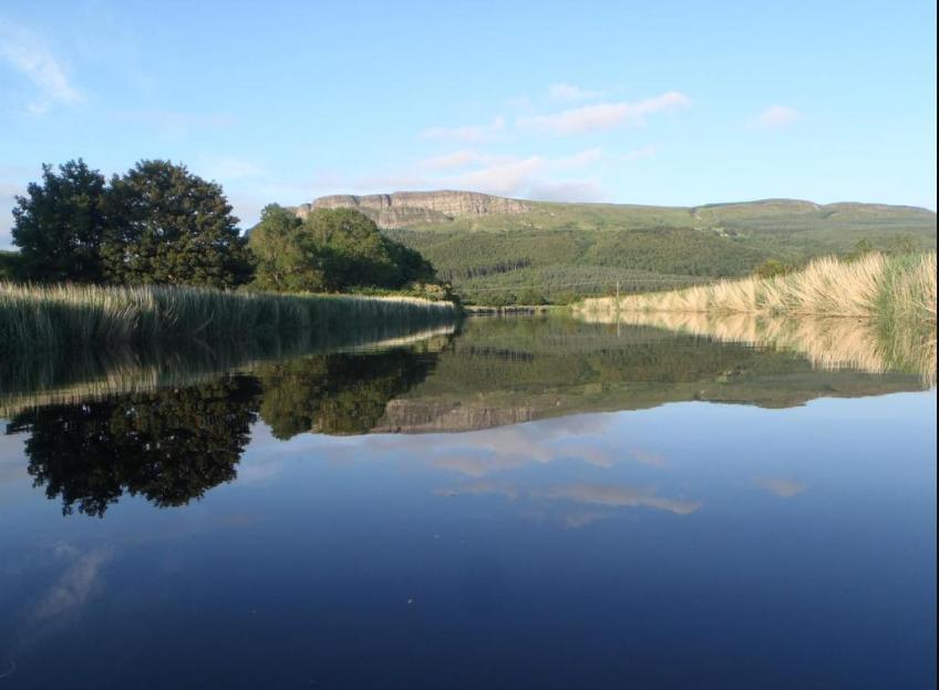 Ballyhenry House And Apartments Limavady Luaran gambar